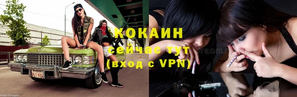 стаф Белокуриха