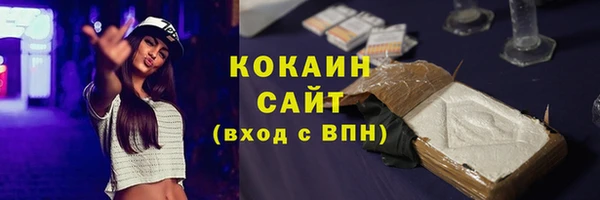 гашик Семилуки