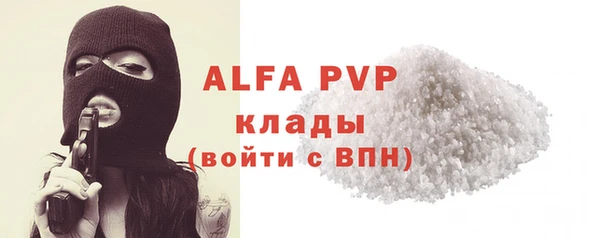 стаф Белокуриха