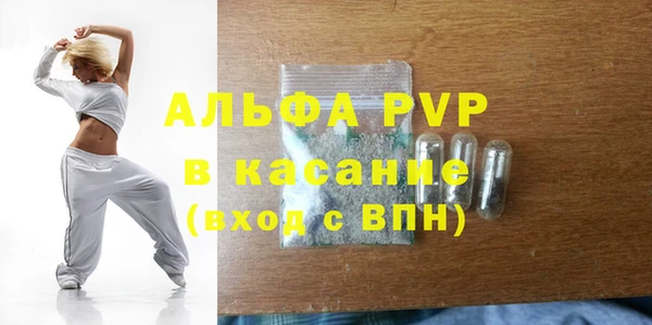 стаф Белокуриха