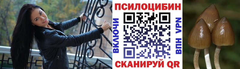 Галлюциногенные грибы мицелий  Великие Луки 